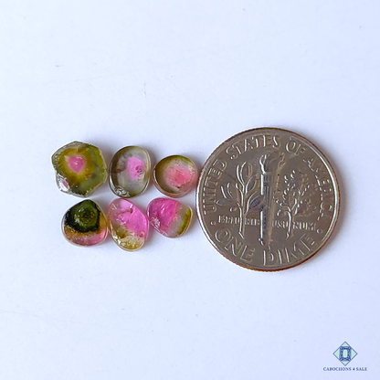 Watermelon Tourmaline