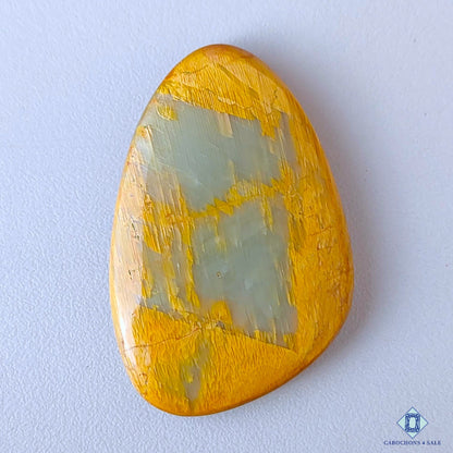 Web Jasper