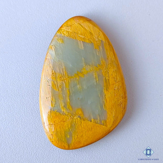 Web Jasper
