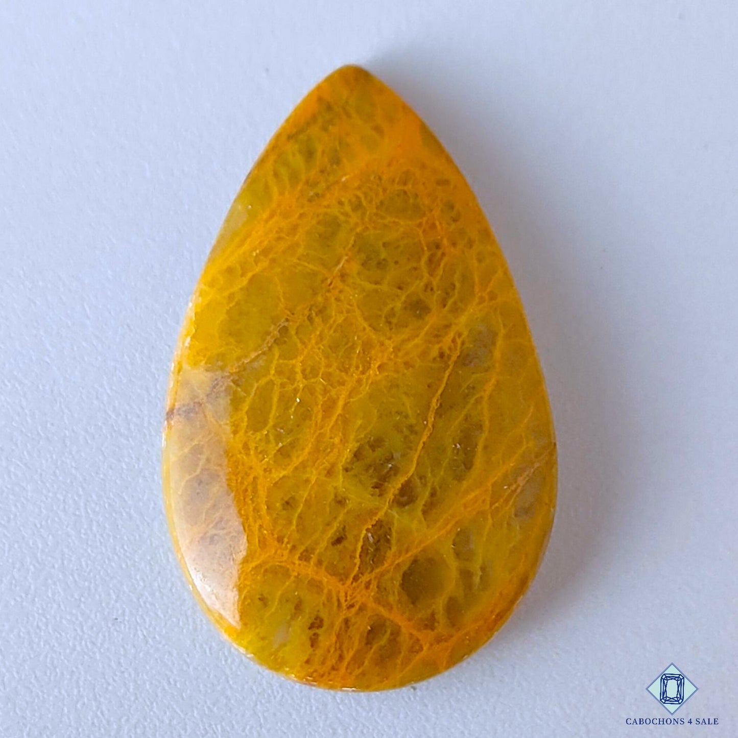 Web Jasper