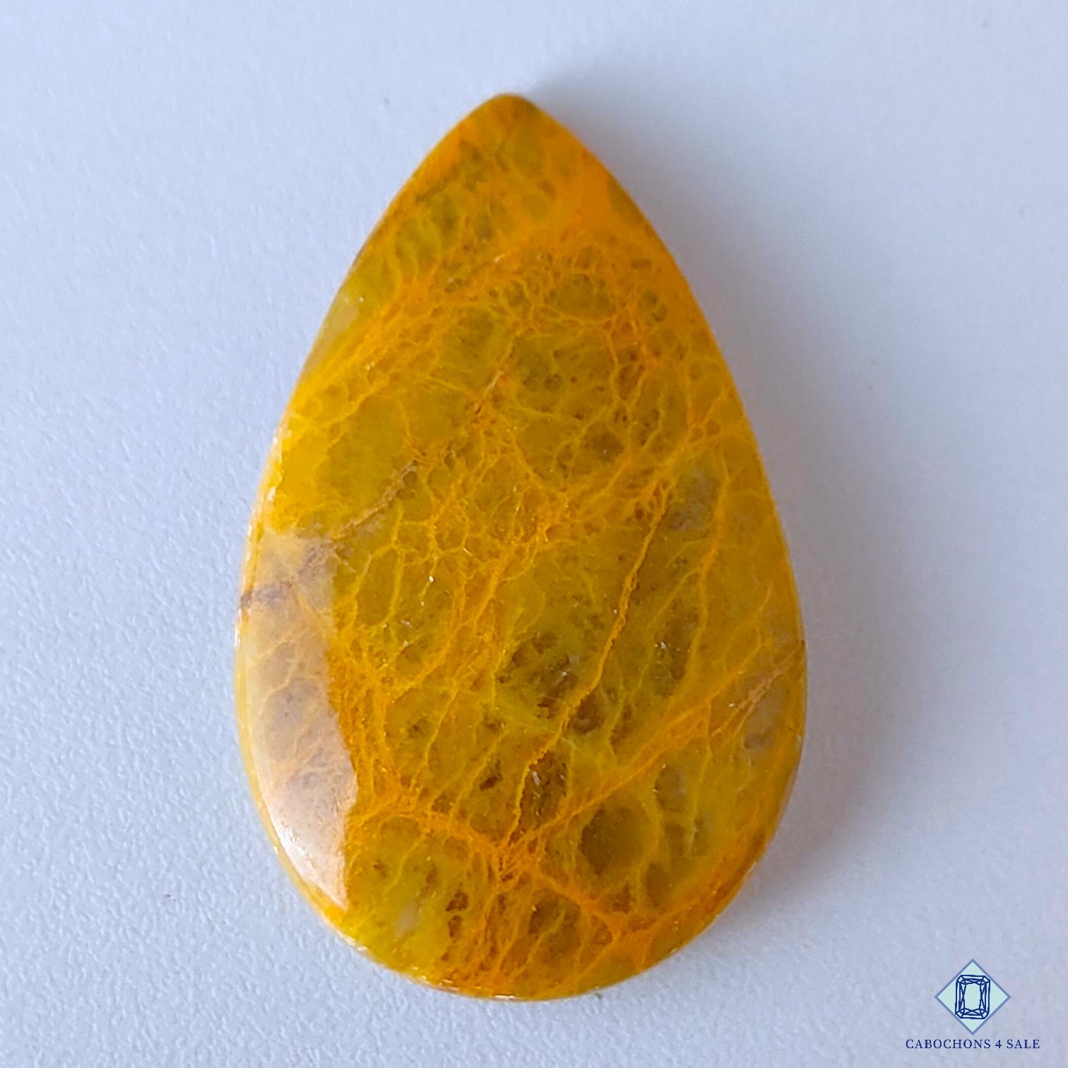 Web Jasper