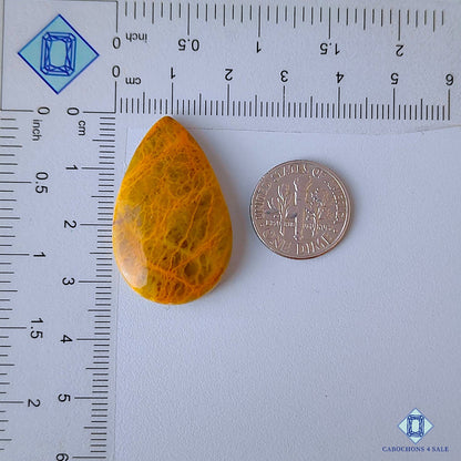 Web Jasper