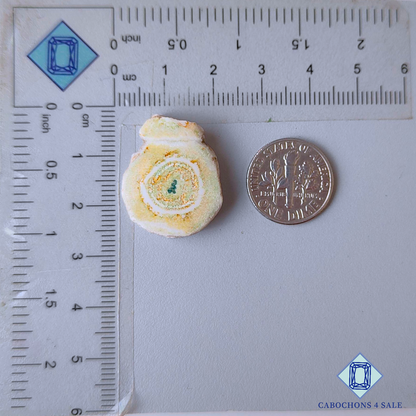 Cuarzo solar blanco elegante druzy