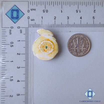 White Solar Quartz Fancy Druzy