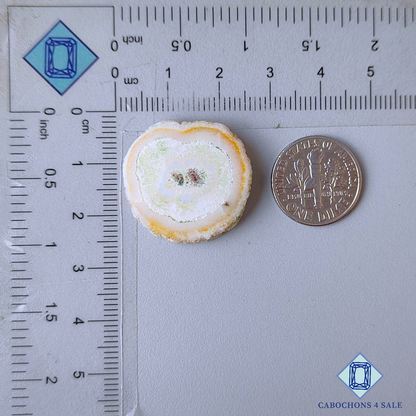 Cuarzo solar blanco elegante druzy