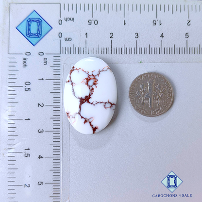 Wild Horse Oval Cabochons