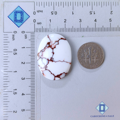 Wild Horse Oval Cabochons