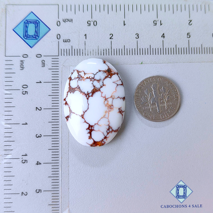 Wild Horse Oval Cabochons