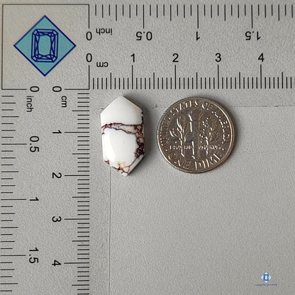 Natural Wild Horse Gemstone Fancy Cabochons 18*11*5mm from USA available for sale