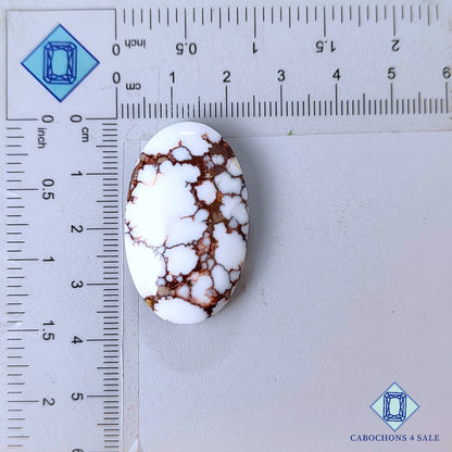Natural Wild Horse Gemstone  Oval Cabochons 35*22*8mm from USA available for sale