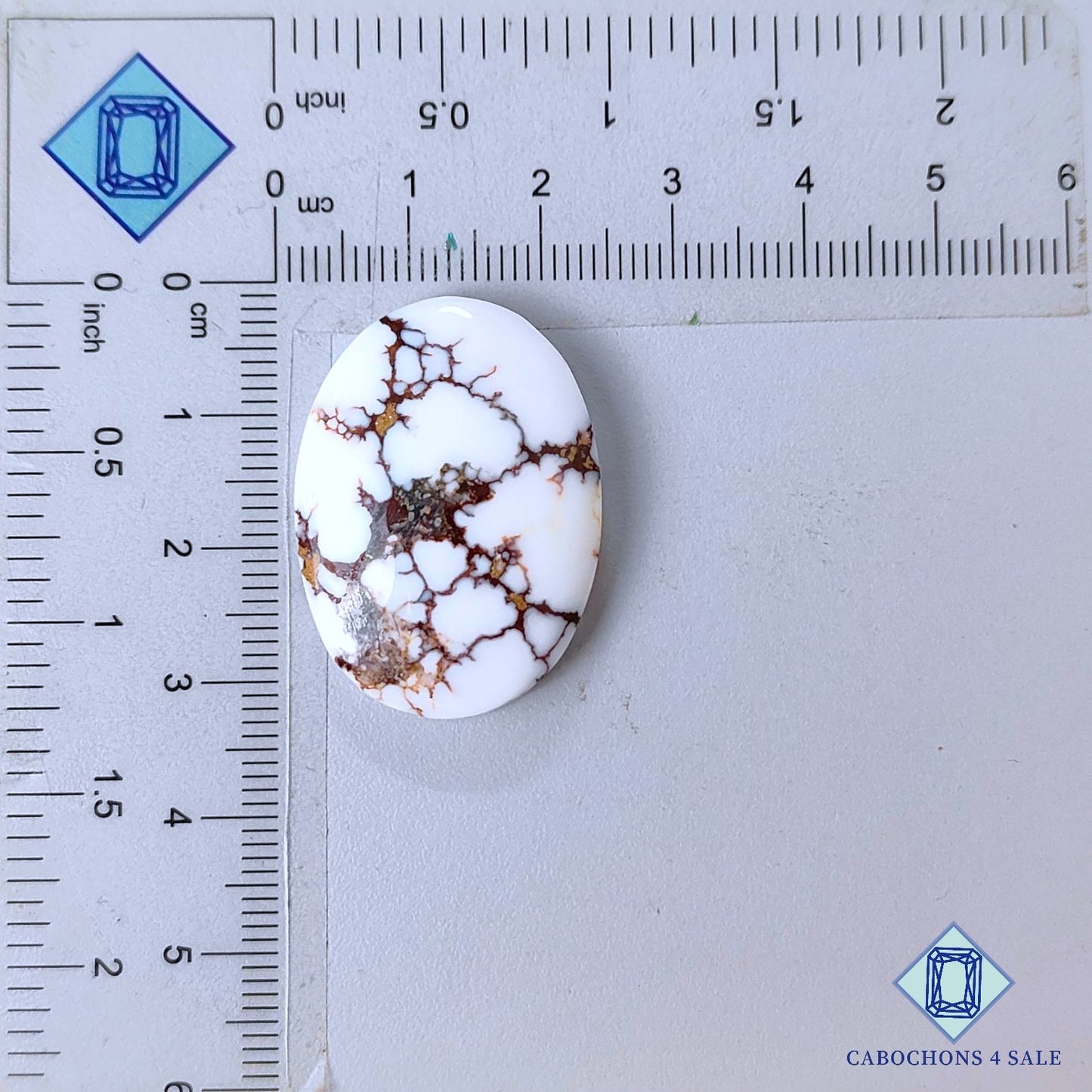 Natural Wild Horse Gemstone  Oval Cabochons 31*22*6mm from USA available for sale