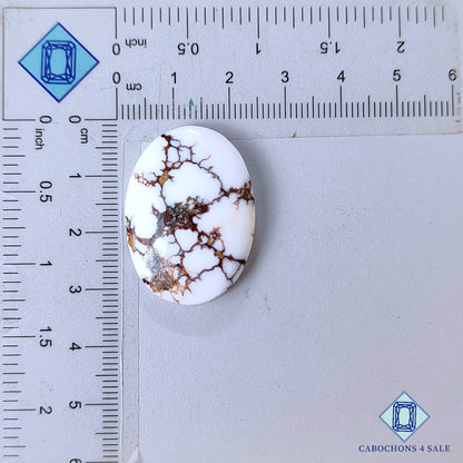 Natural Wild Horse Gemstone  Oval Cabochons 31*22*6mm from USA available for sale