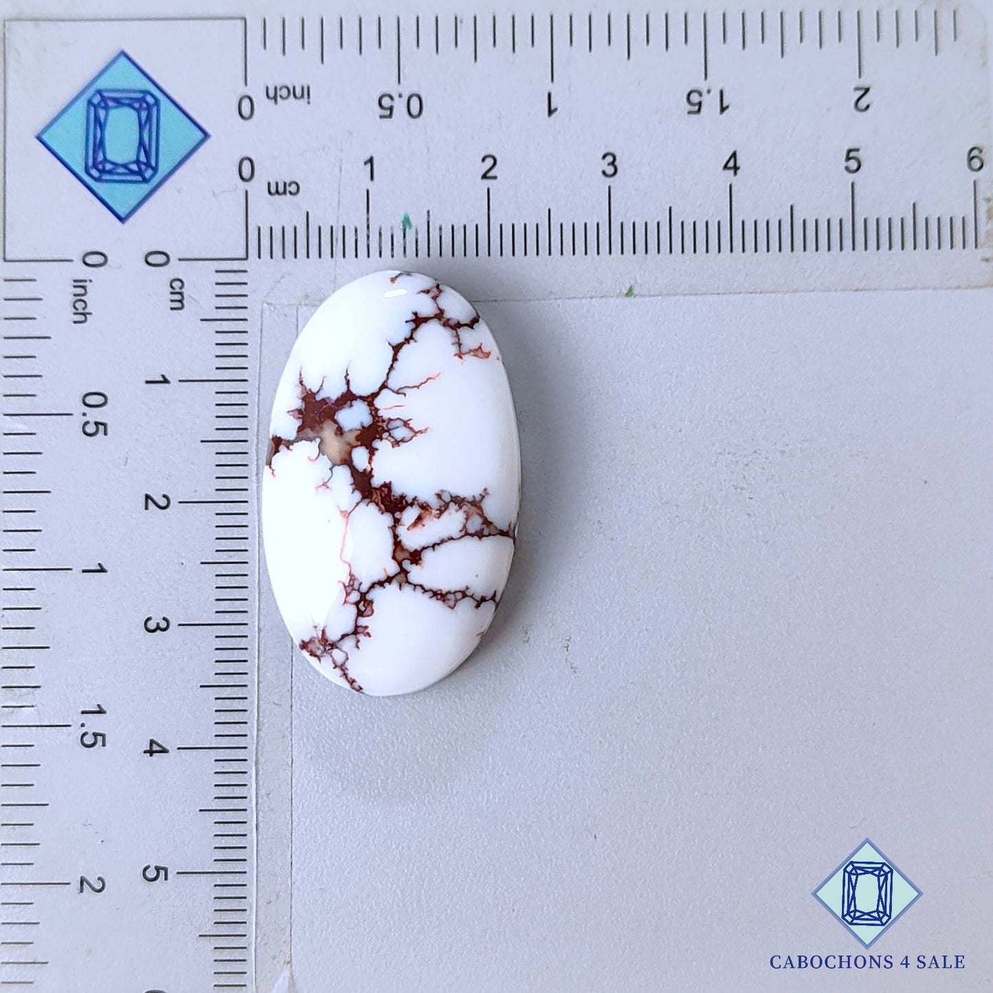 Natural Wild Horse Gemstone  Oval Cabochons 34*20*8mm from USA available for sale