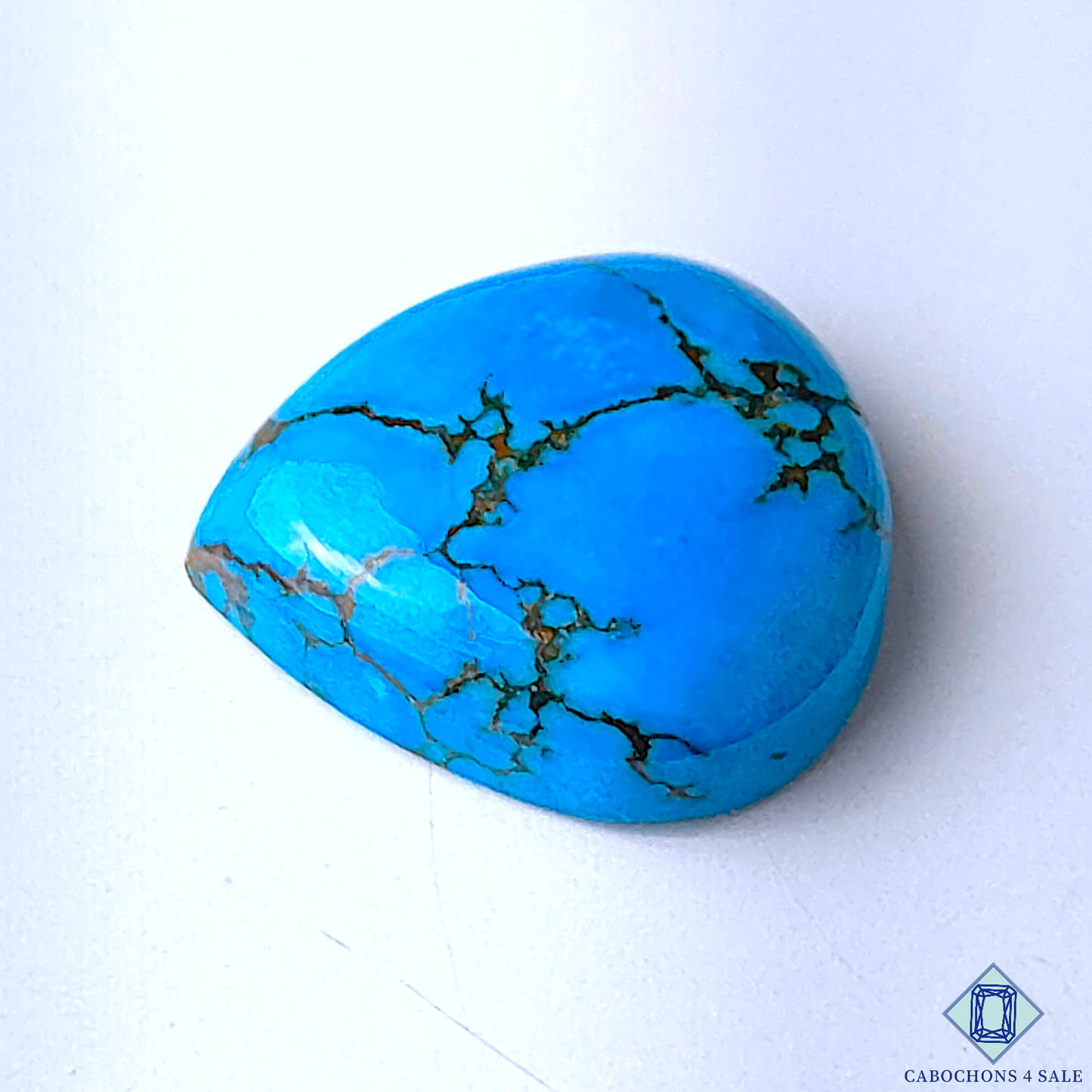 0-Wild_Horse_Jasper-C4sw17537-3-Pear-Blue-mm-Cabochons-Opaque-0