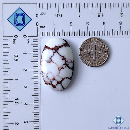 Wild Horse Jasper