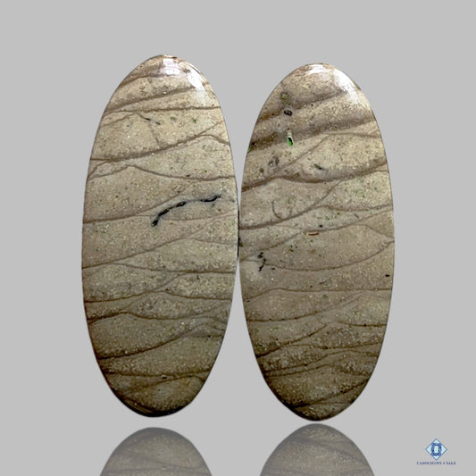 Willow Creek Jasper