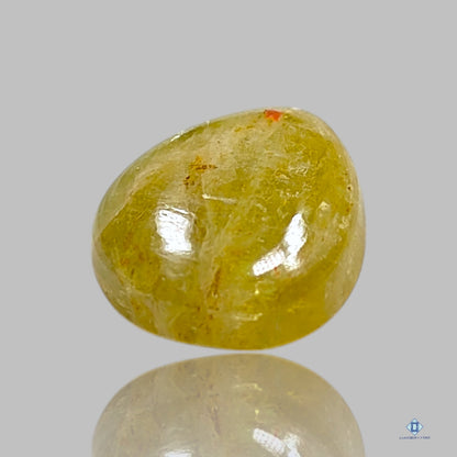 Yellow Apatite Pear Cabochons