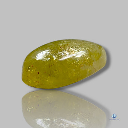 Yellow Apatite Pear Cabochons