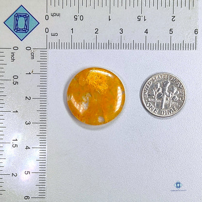 Yellow Aventurine Round Cabochons