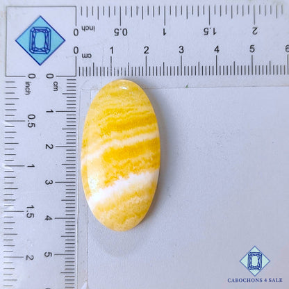 Cabujones ovalados de calcita amarilla natural de 42 x 22 x 8 mm, de México, disponibles para la venta.
