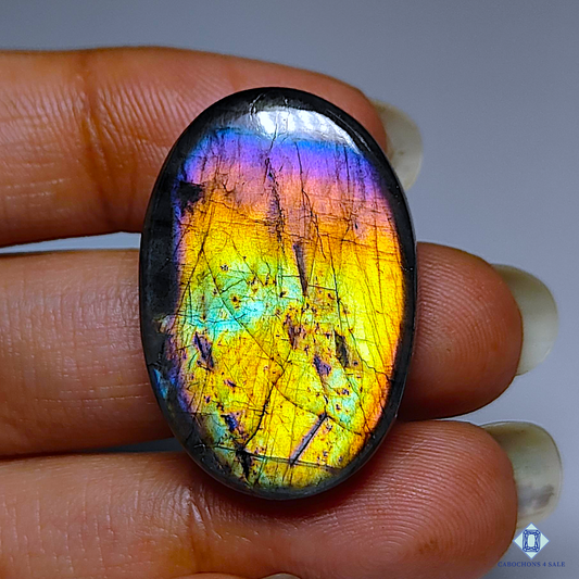 Yellow Labradorite