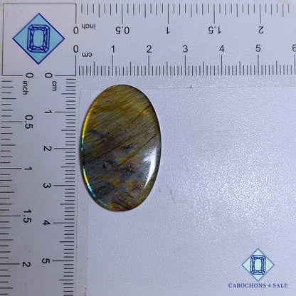 Cabujones ovalados de labradorita amarilla natural de 34 x 21 x 4 mm de Madagascar, disponibles para la venta.