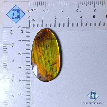 Natural Yellow Labradorite Gemstone  Oval Cabochons 40*21*4mm from Madagascar available for sale