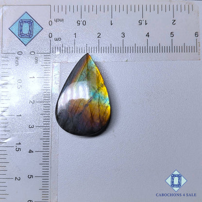 Cabujones de labradorita amarilla natural en forma de pera de 33 x 21 x 6 mm de Madagascar, disponibles para la venta.