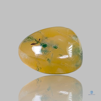 Yellow Moss Agate Pear Cabochons