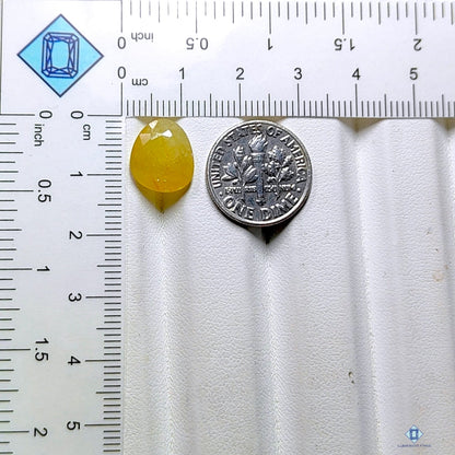 Yellow Sapphire Pear All Cuts