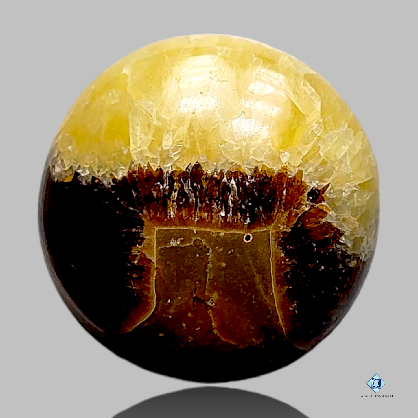 Yellow Septarian