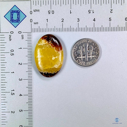 Yellow Septarian Oval Cabochons