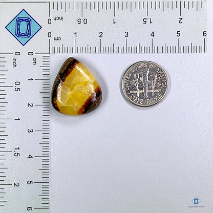 Yellow Septarian Pear Cabochons