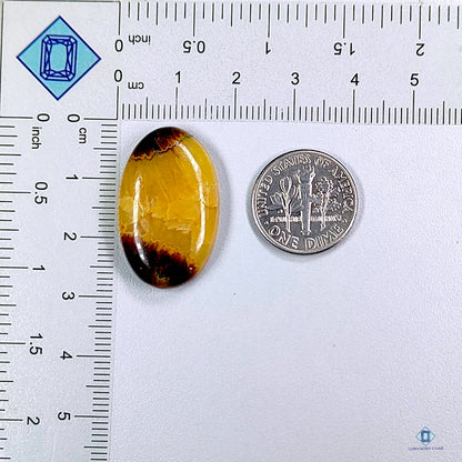 Yellow Septarian Oval Cabochons