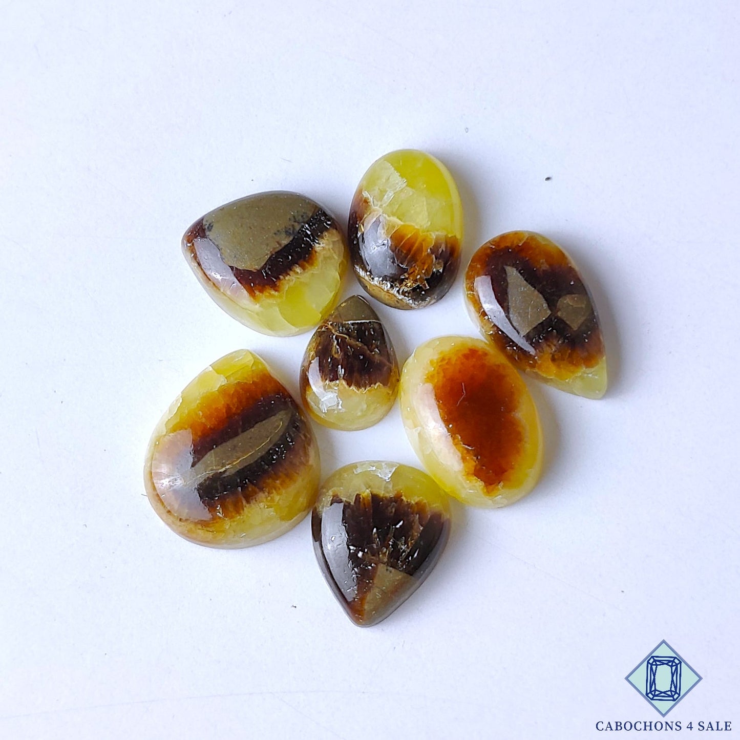 Yellow Septarian
