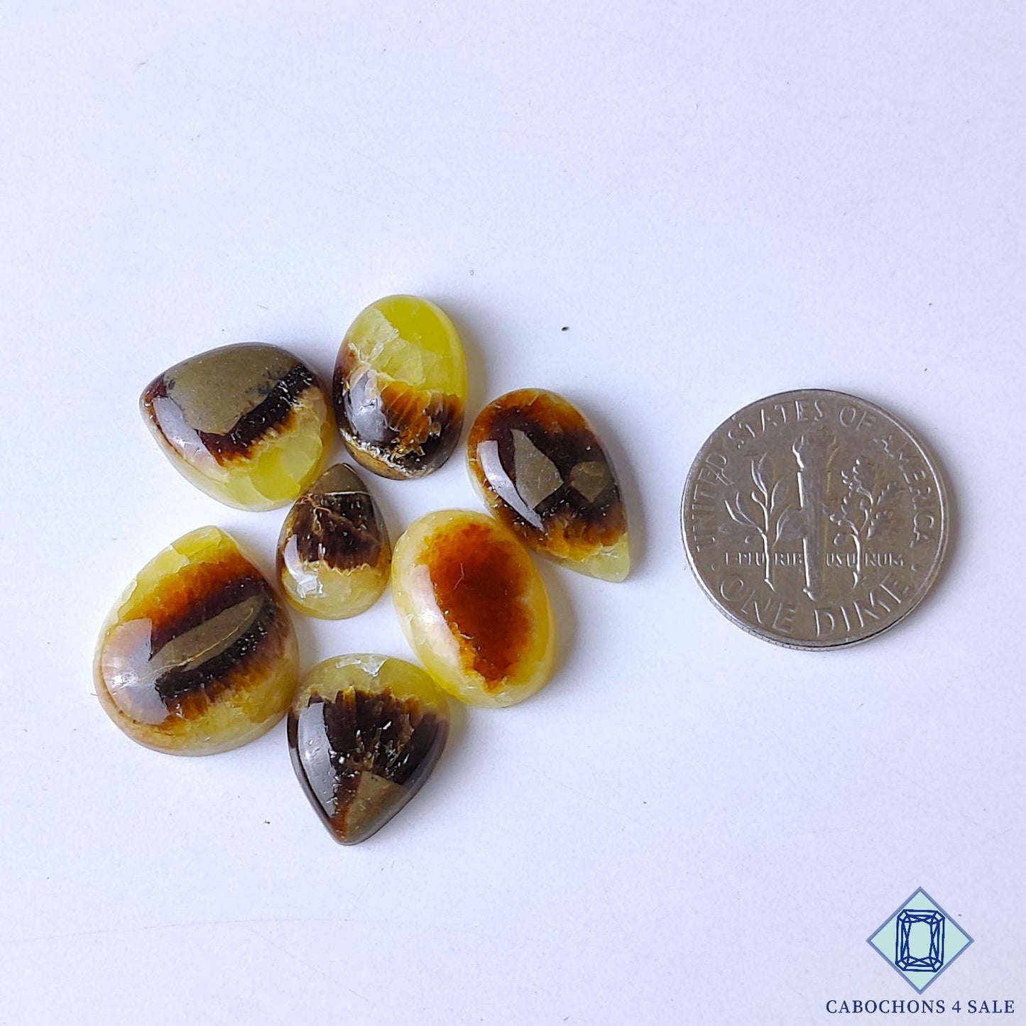 Yellow Septarian