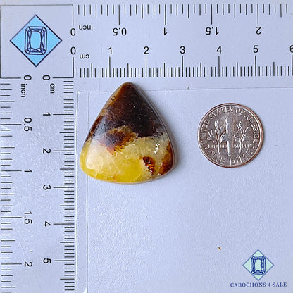 Natural Yellow Septarian Gemstone Pear Cabochons 28*26*6mm from USA available for sale