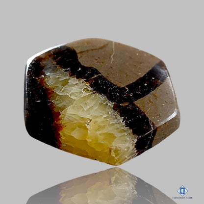 Yellow Septarian Hexagon Cabochons