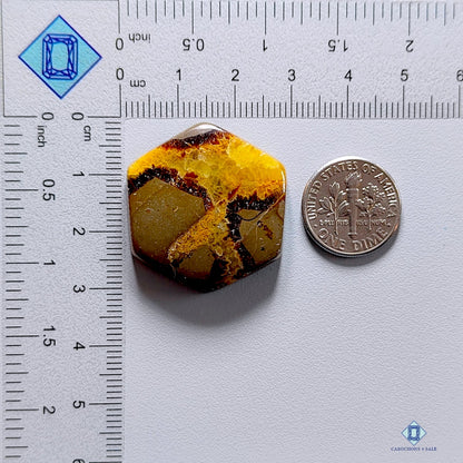 Yellow Septarian Hexagon Cabochons