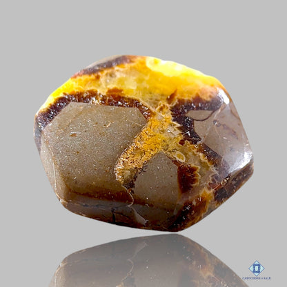 Yellow Septarian Hexagon Cabochons