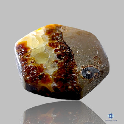 Yellow Septarian Hexagon Cabochons