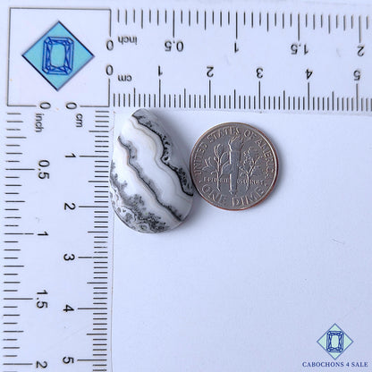 Zebra Calcite