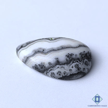 Zebra Calcite