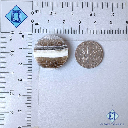 Cabujones redondos de calcita cebra natural de 22 x 4 mm, de México, disponibles para la venta.