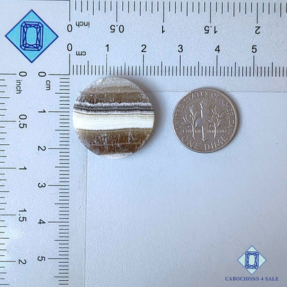 Natural Zebra Calcite Gemstone Round Cabochons 22*4mm from Mexico  available for sale