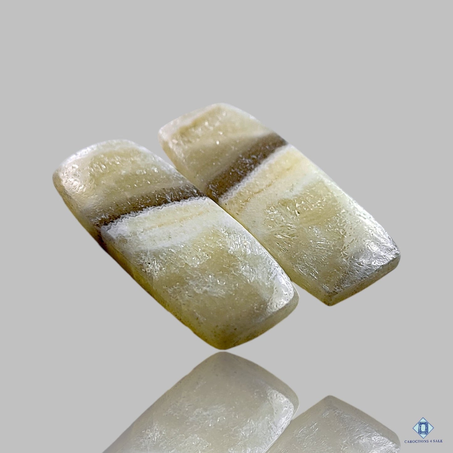 Zebra Calcite Rectangle Pairs