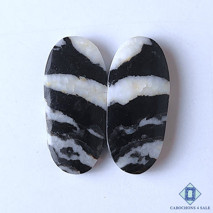 Zebra Jasper