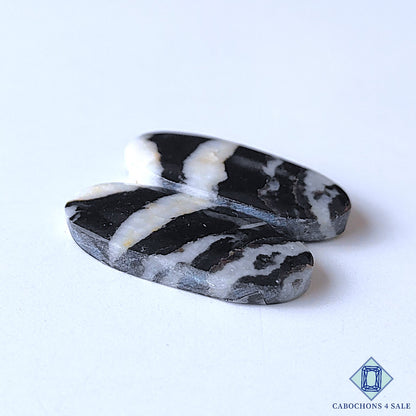 Zebra Jasper