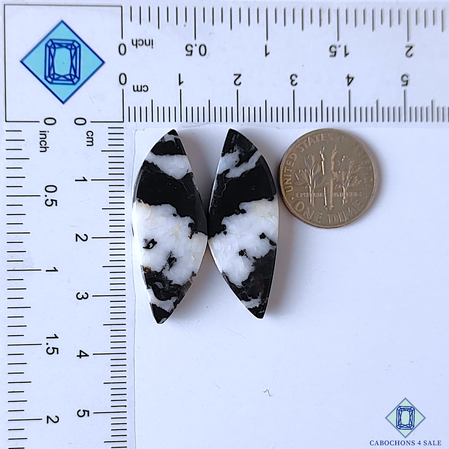 0-Zebra_Jasper-C4sw17584-2-Fancy-Black-mm-Pairs-Opaque-0_e8a12dee-ffc2-4e9e-849b-ffdb07a3d655