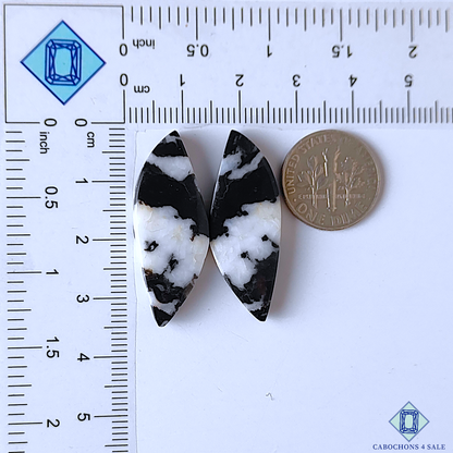 0-Zebra_Jasper-C4sw17584-2-Fancy-Black-mm-Pairs-Opaque-0_e8a12dee-ffc2-4e9e-849b-ffdb07a3d655